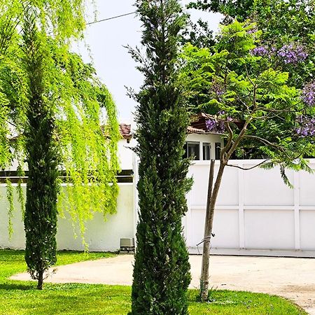 Seaside Jacaranda Appartement Schinias Buitenkant foto