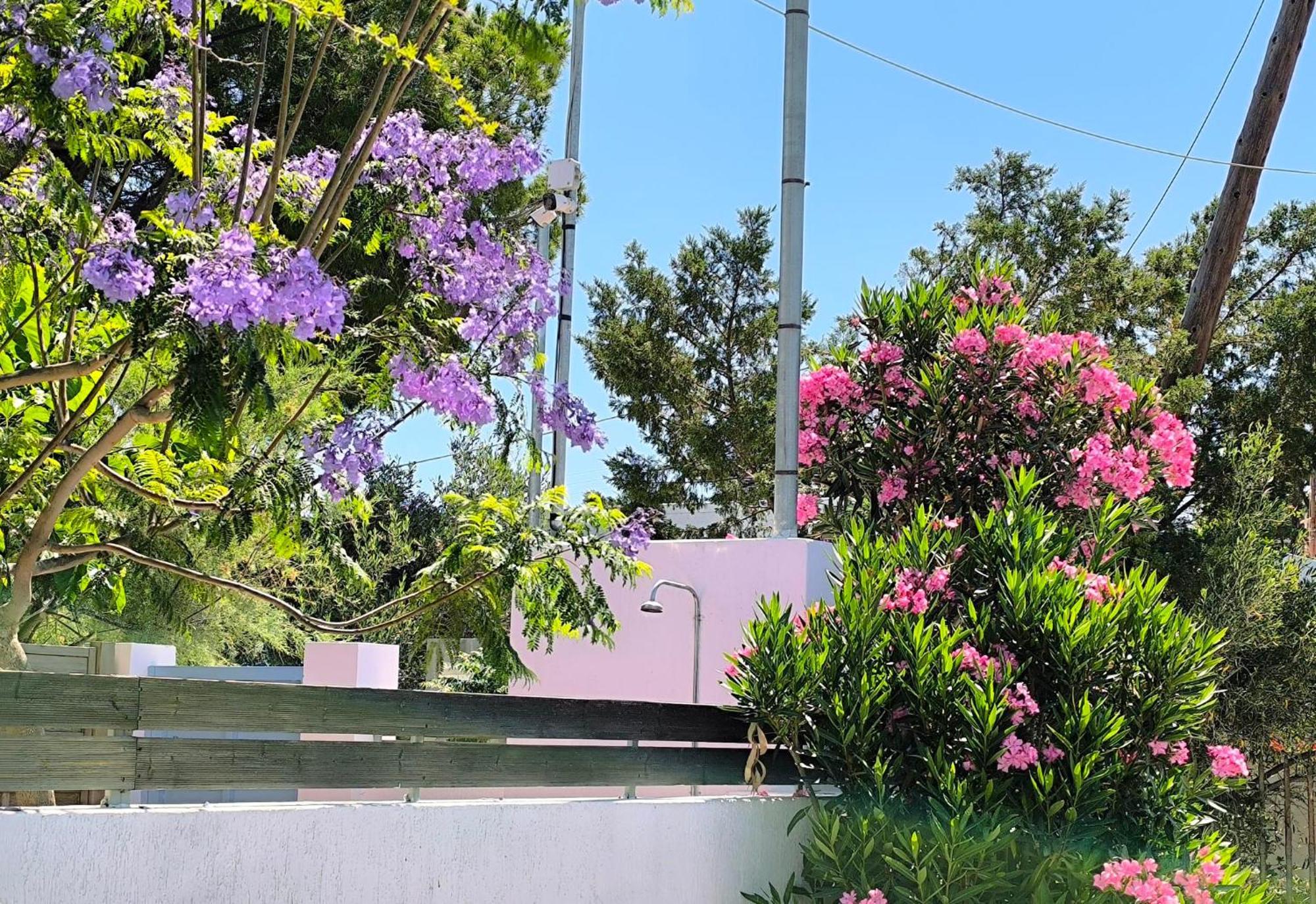 Seaside Jacaranda Appartement Schinias Buitenkant foto